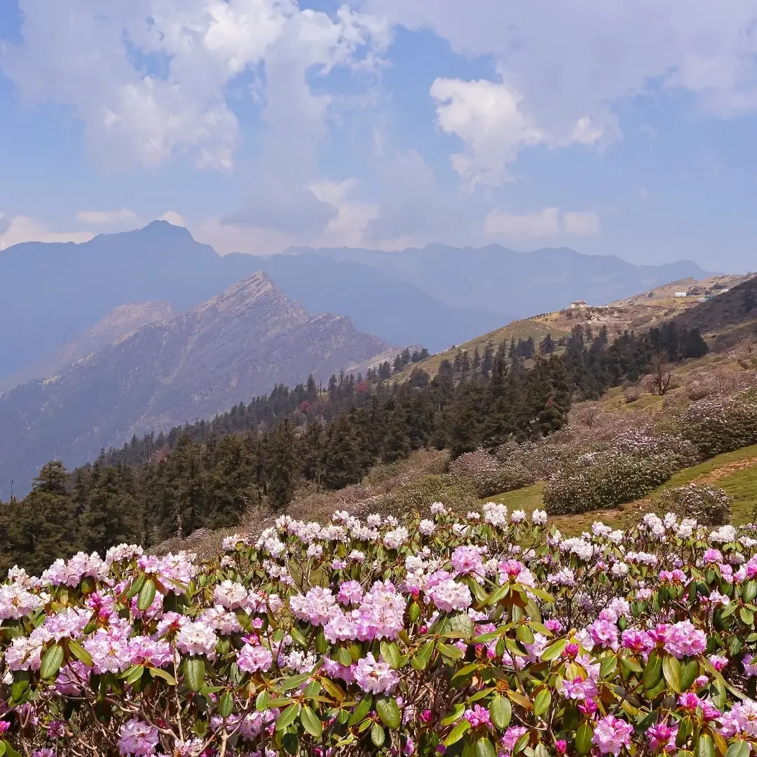 Uttarakhand Tourism-Top Things to Do