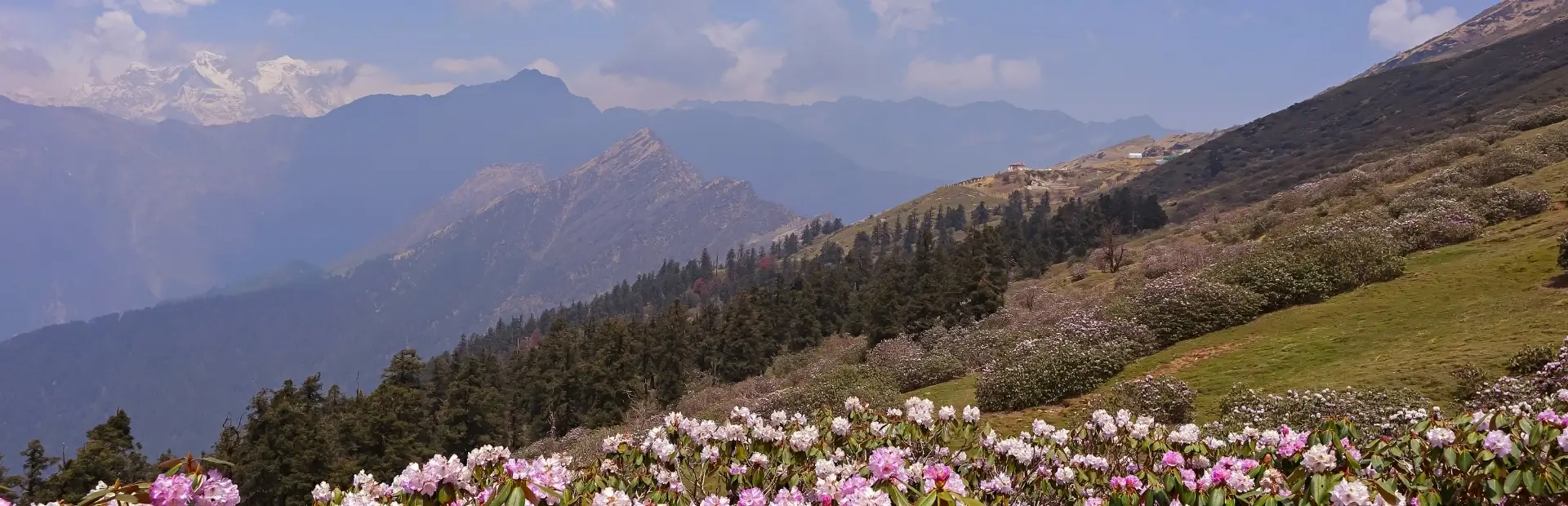 Top Things to Do in Uttarakhand - Uttarakhand Tourism